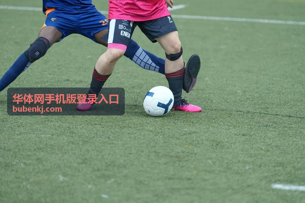 华体网手机版登录入口访问步骤示意