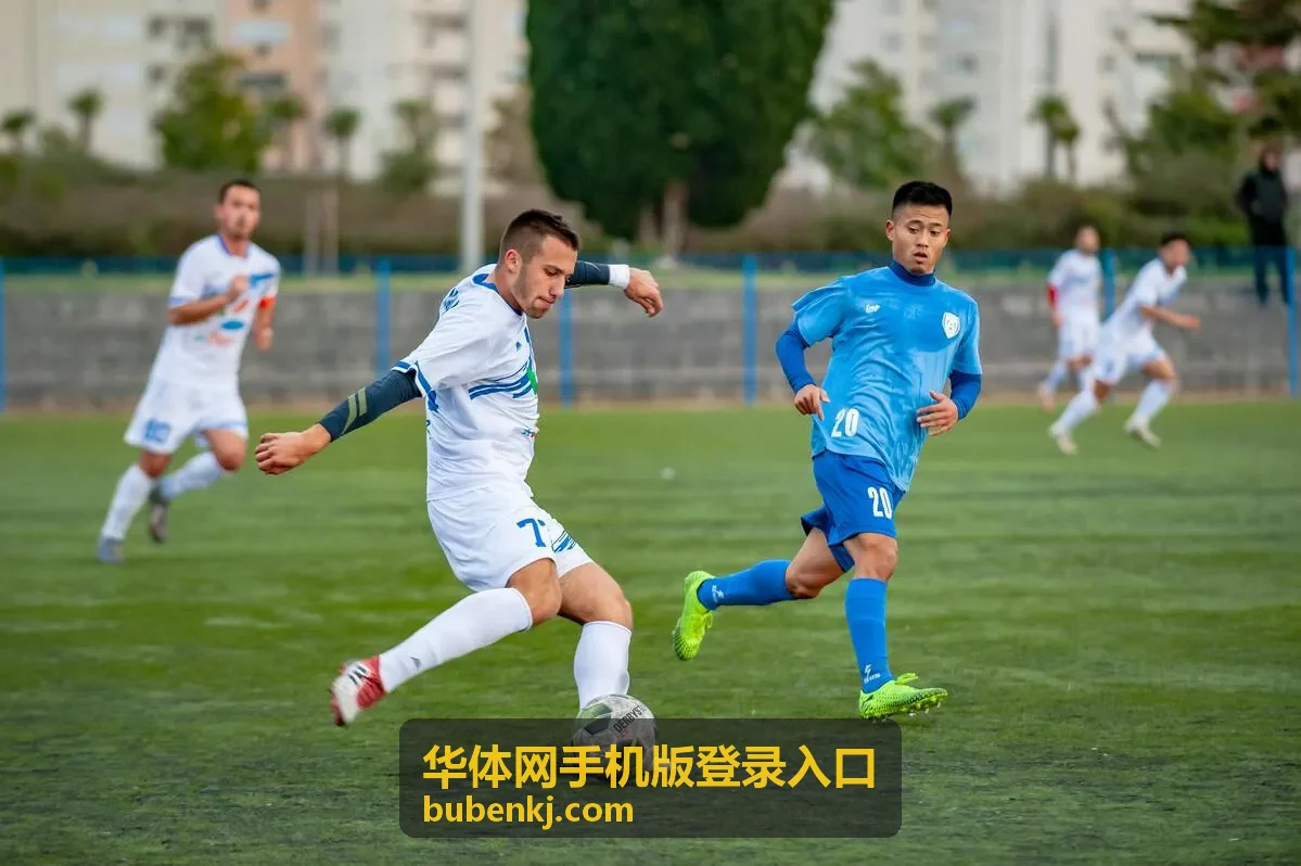 华体网手机版登录入口赛事数据查询界面